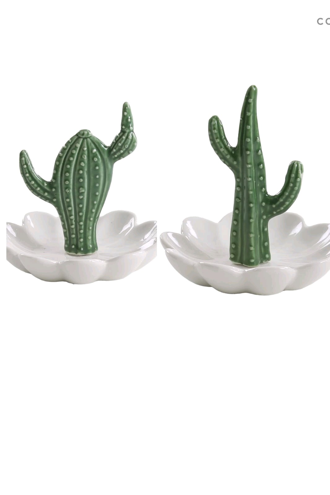 Cactus bandeja en flor - OBED Home & Deco San Rafael