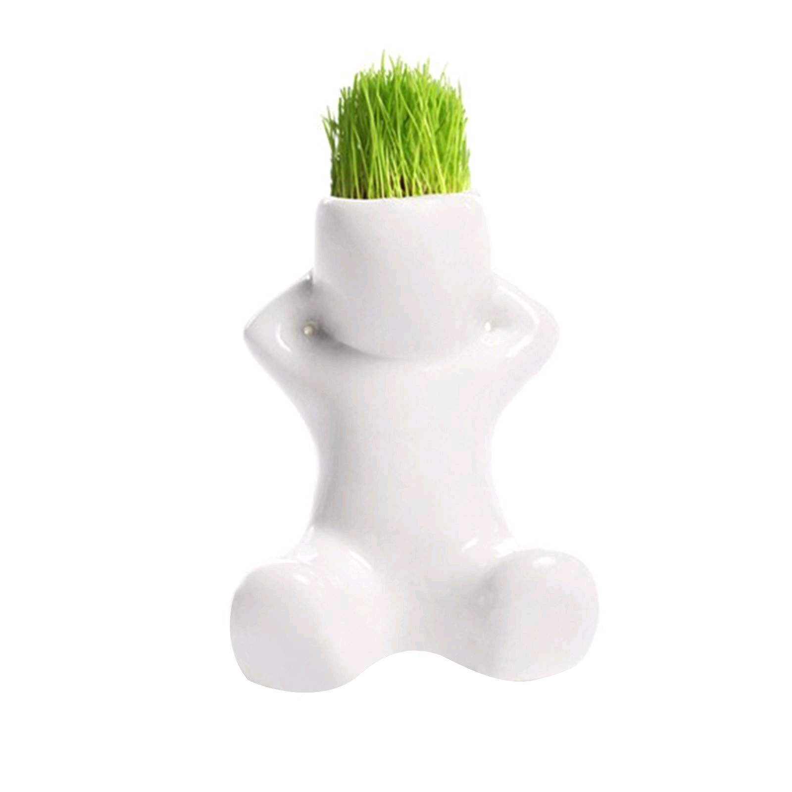 Adorno planta ecoey - OBED Home & Deco San Rafael